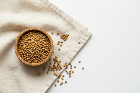 Coriander Seeds — wooden bowl