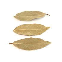 Bay Leaf