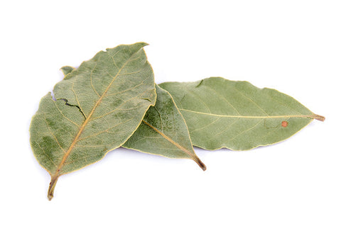 Bay Leaf