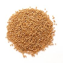 Mustard Seeds (Yellow)